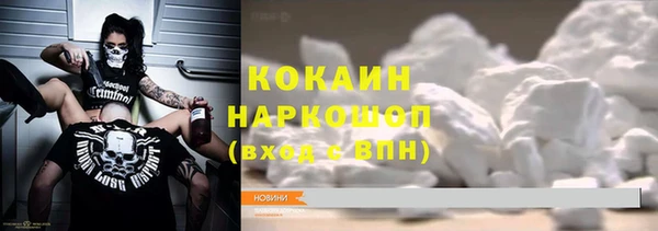 прущие грибы Зеленодольск