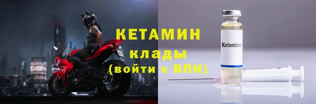 прущие грибы Зеленодольск