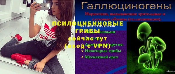 ПСИЛОЦИБИНОВЫЕ ГРИБЫ Зеленокумск